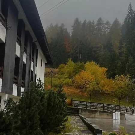 L'ermellino Bianco * Folgarida